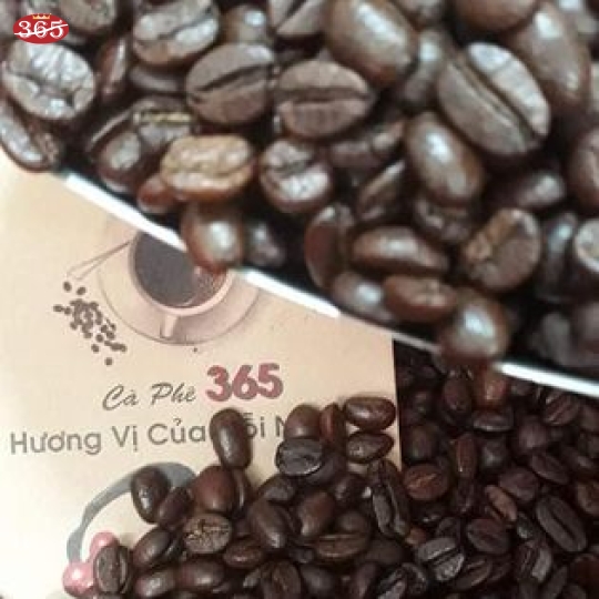 CÀ PHÊ 365 HẠT ROBUSTA