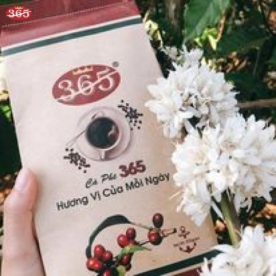 CÀ PHÊ 365 HẠT PHA PHIN GU NHẠT