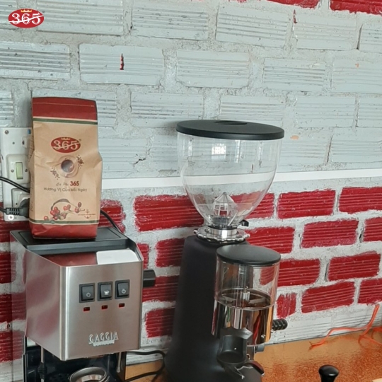 MÁY PHA CÀ PHÊ GAGGIA CLASSIC PRO