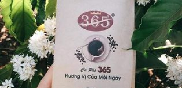 CÀ PHÊ HẠT PHA PHIN GU NHẠT TỐT CHO SỨC KHỎE
